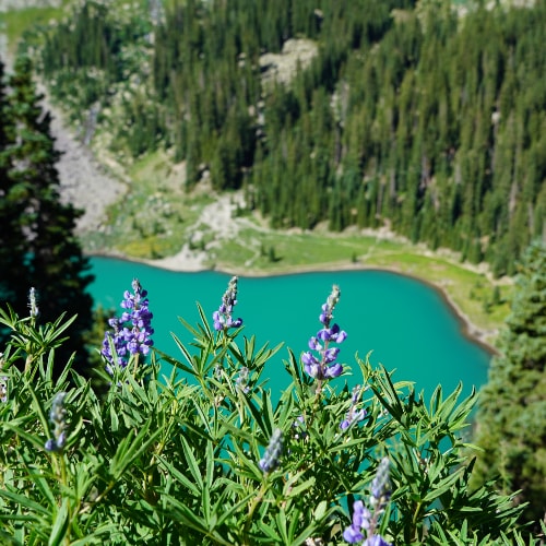 Blue Lakes Trail | Dani's Drive